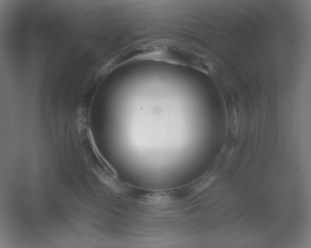 X0000054410284200508121733