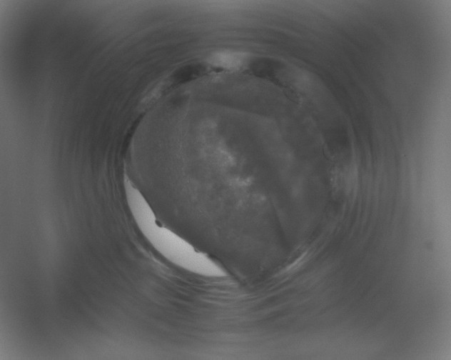 X0000054410285200508121733