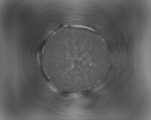 X0000054410286200508121733