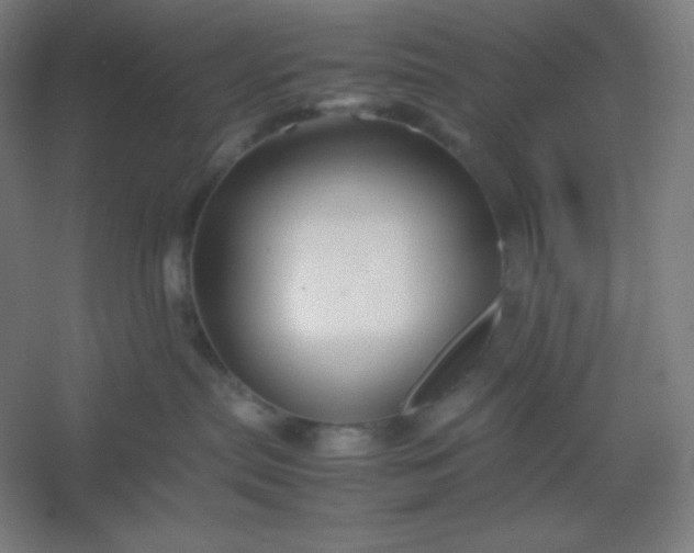 X0000054410287200508121733