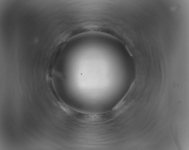 X0000054410288200508121733