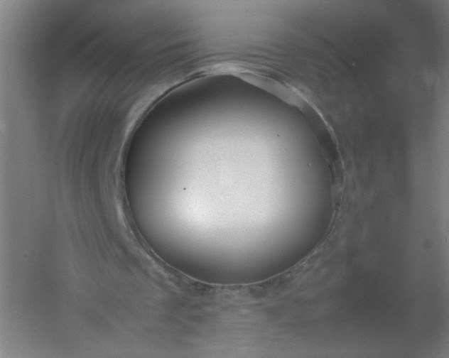 X0000054410289200508121732