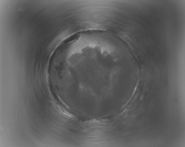 X0000054410290200508121732