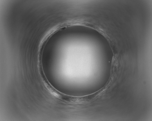 X0000054410293200508121732