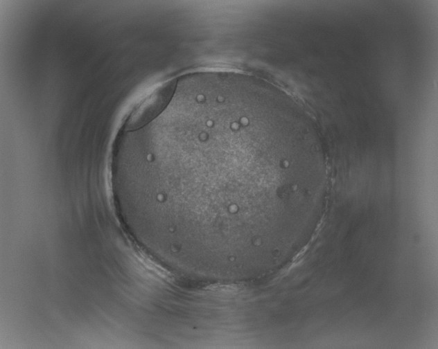 X0000054410294200508121732