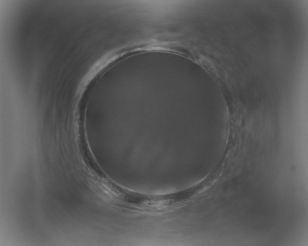 X0000054410295200508121732