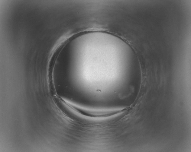 X0000054410296200508121732