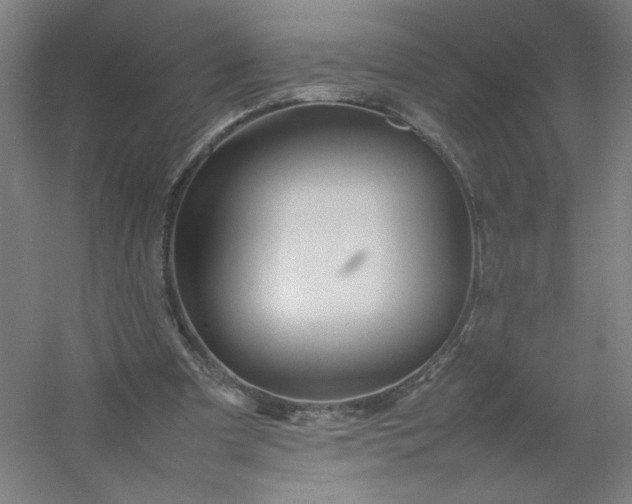 X0000054410297200508121732