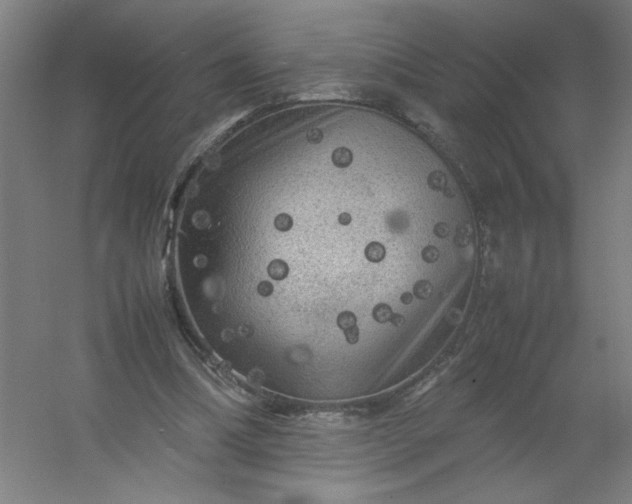 X0000054410298200508121732