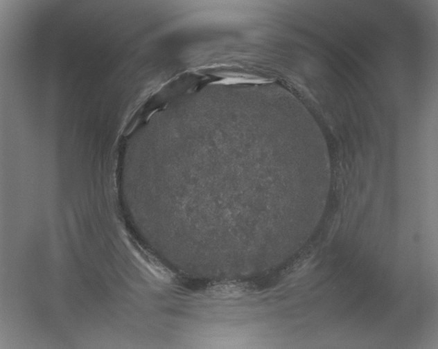 X0000054410299200508121732