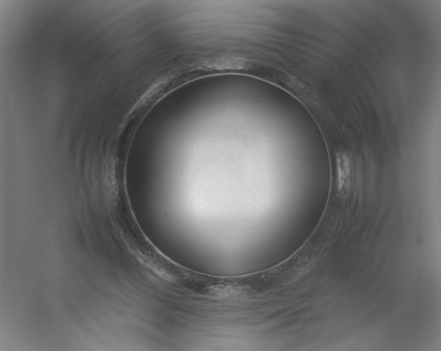 X0000054410300200508121732