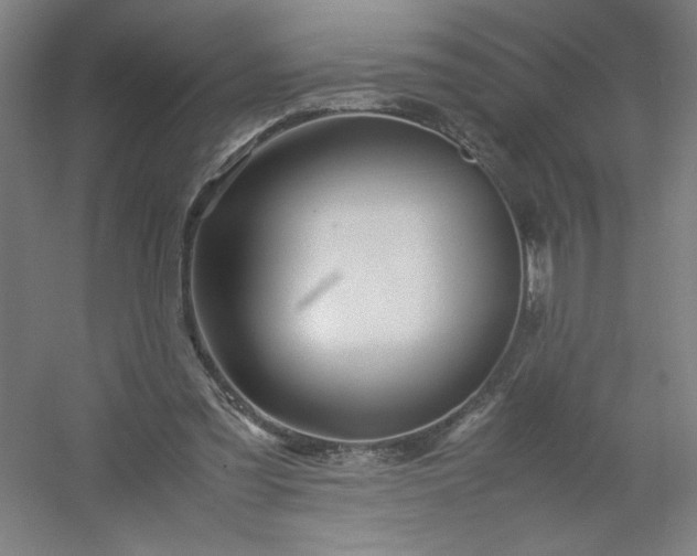 X0000054410301200508121732