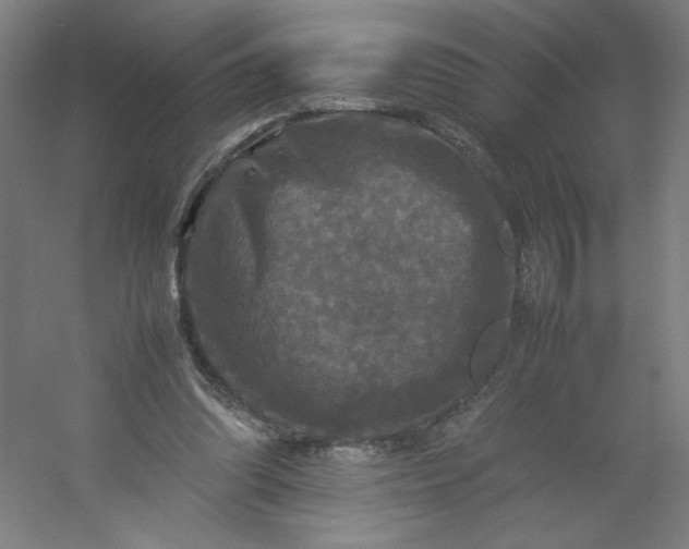 X0000054410302200508121732