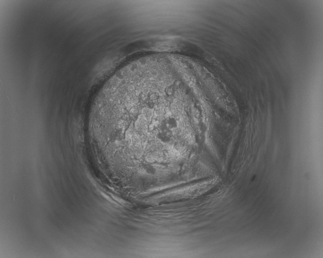 X0000054410303200508121732