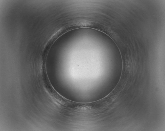 X0000054410304200508121732