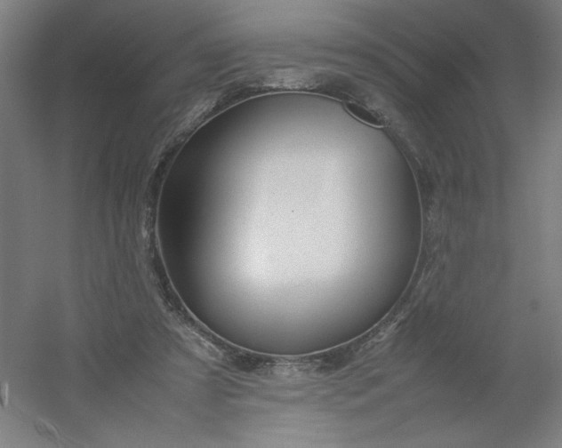 X0000054410305200508121732