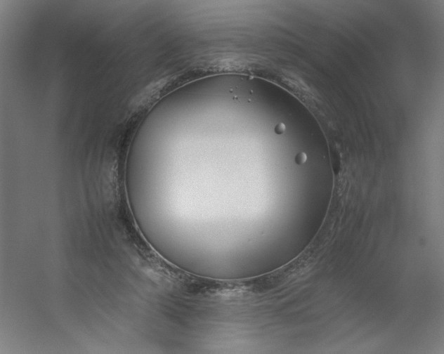 X0000054410306200508121732