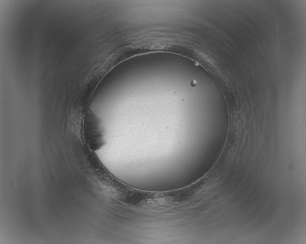 X0000054410307200508121732