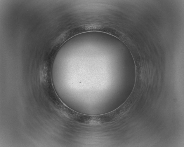 X0000054410308200508121732