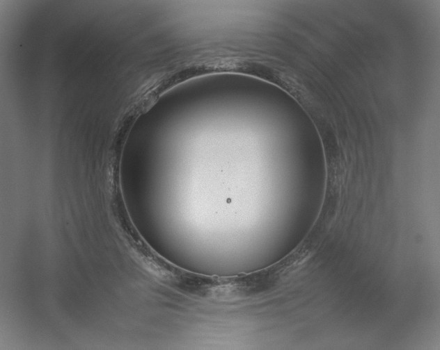 X0000054410309200508121732