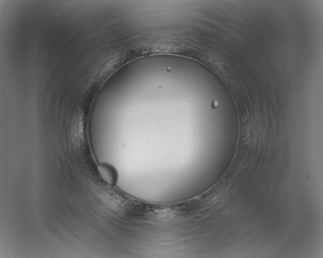 X0000054410310200508121732