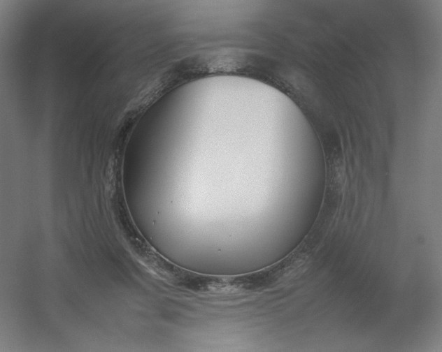 X0000054410311200508121732