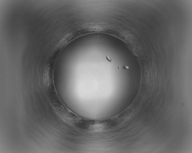 X0000054410312200508121732