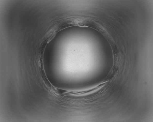 X0000054410313200508121732