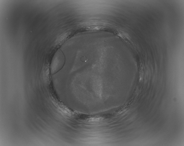 X0000054410314200508121732