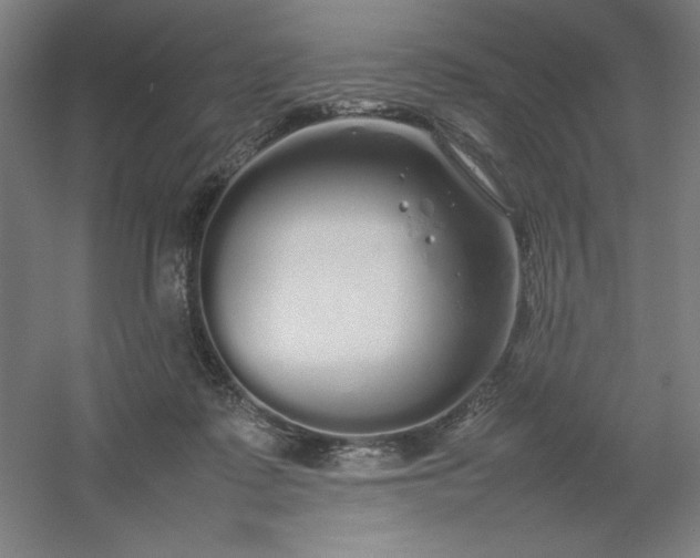 X0000054410315200508121732