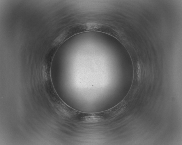 X0000054410316200508121732