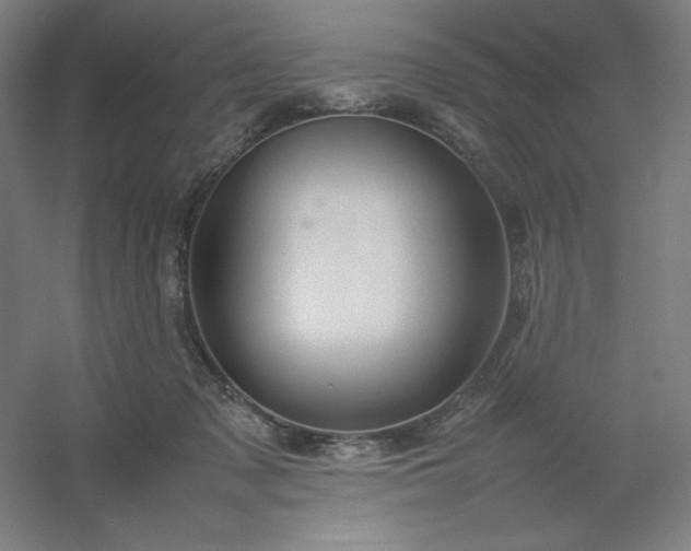 X0000054410317200508121732