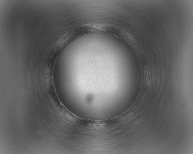 X0000054410318200508121732