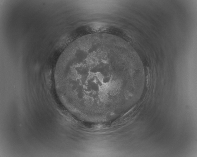 X0000054410319200508121732