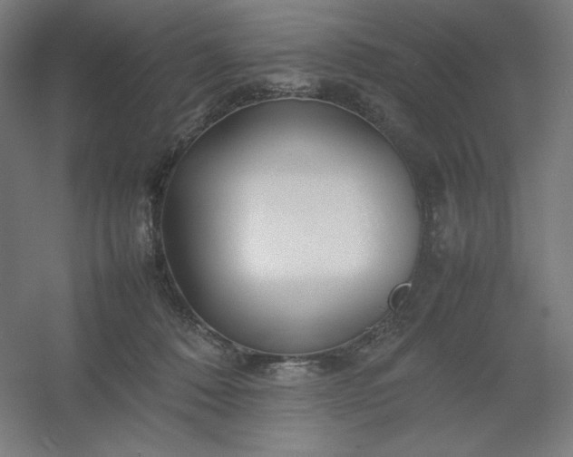 X0000054410320200508121732