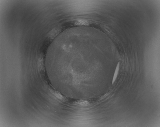 X0000054410322200508121732