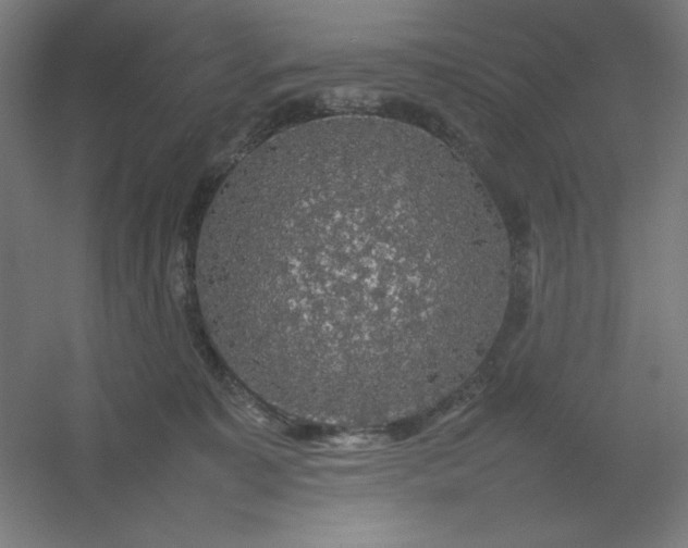 X0000054410323200508121732