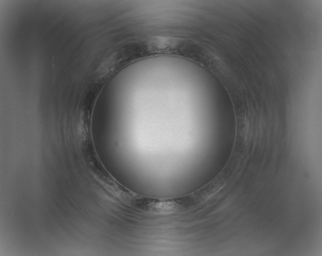 X0000054410324200508121732