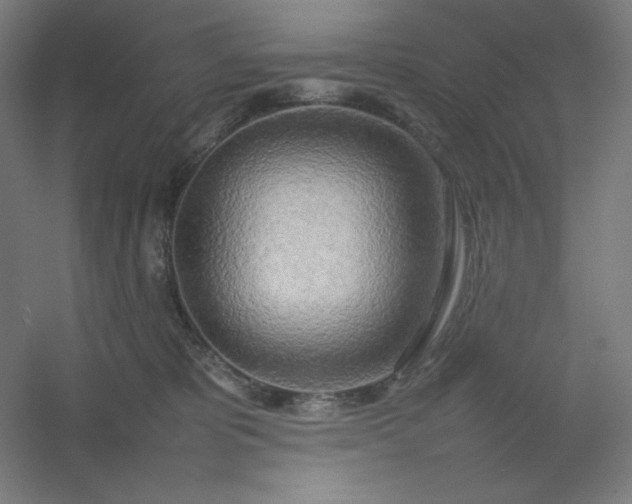 X0000054410325200508121732