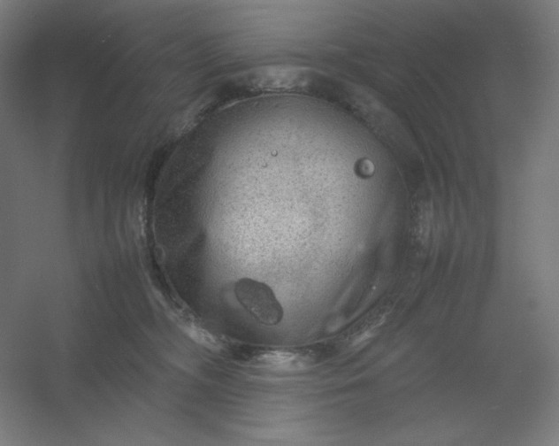 X0000054410326200508121732