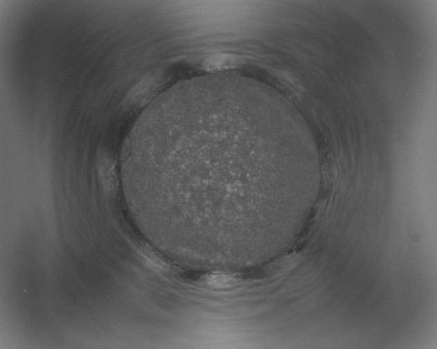 X0000054410327200508121732