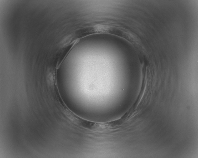 X0000054410329200508121732