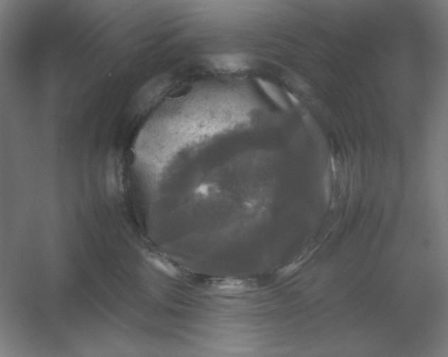 X0000054410330200508121732