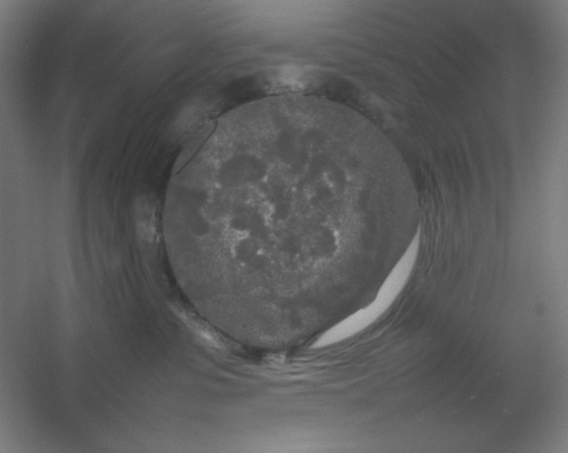 X0000054410331200508121732