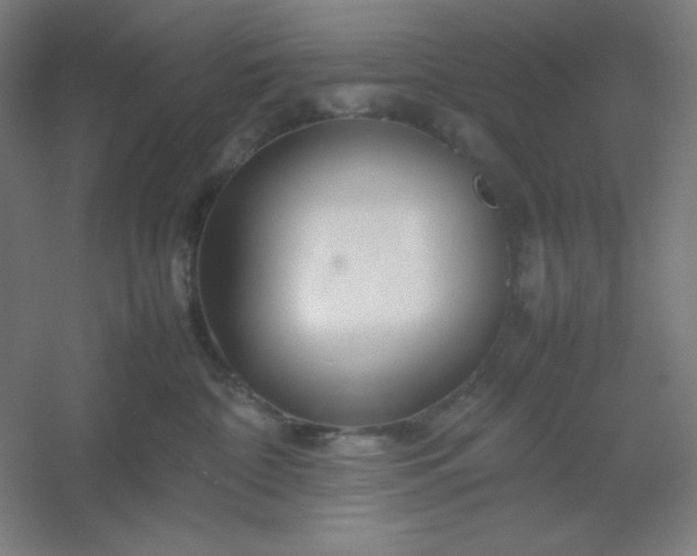 X0000054410332200508121732