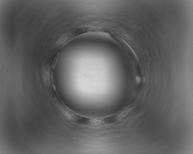 X0000054410333200508121732