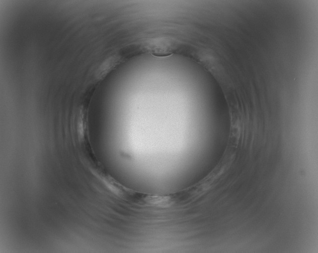 X0000054410334200508121732