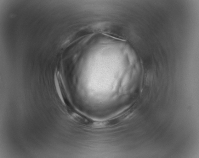 X0000054410335200508121732