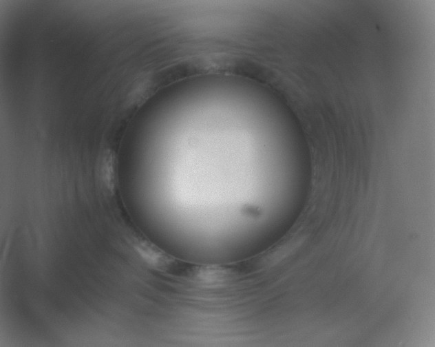 X0000054410336200508121732