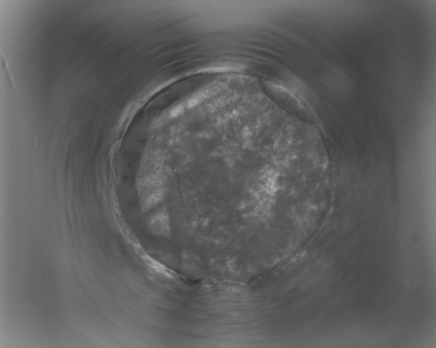 X0000054410337200508121731